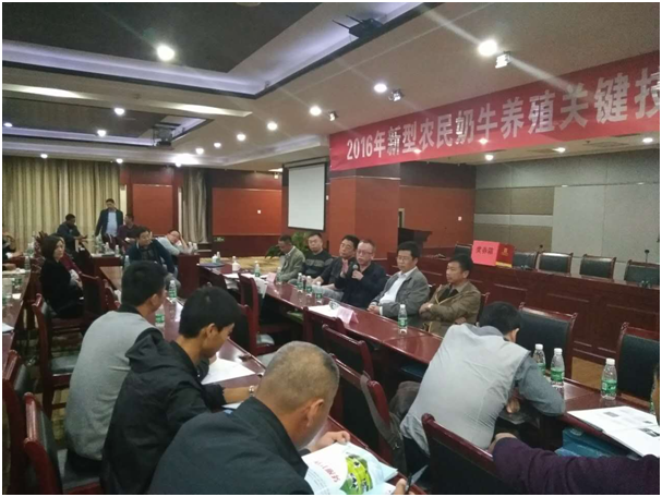 008PG����(�й���)-�ٷ���վ