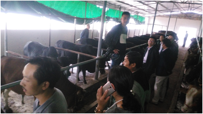 008PG����(�й���)-�ٷ���վ