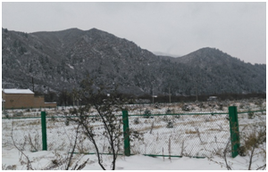 008PG����(�й���)-�ٷ���վ