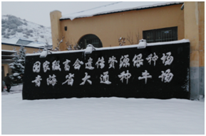 008PG����(�й���)-�ٷ���վ