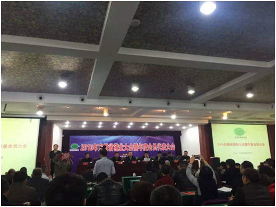 008PG����(�й���)-�ٷ���վ