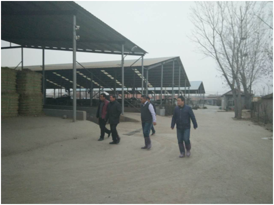 008PG����(�й���)-�ٷ���վ