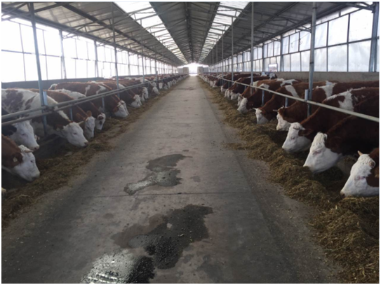 008PG����(�й���)-�ٷ���վ