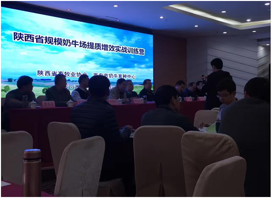 008PG����(�й���)-�ٷ���վ