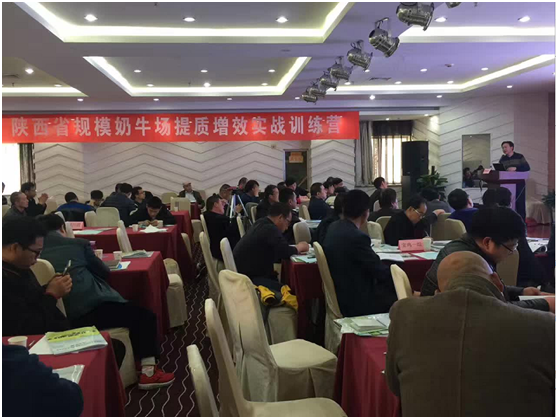 008PG����(�й���)-�ٷ���վ