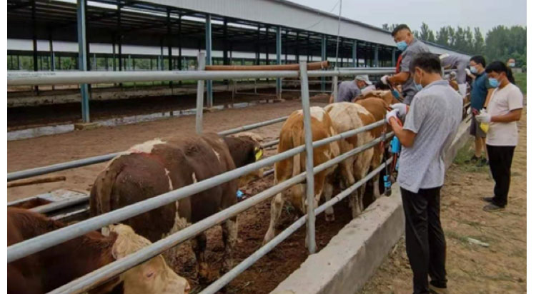 008PG����(�й���)-�ٷ���վ