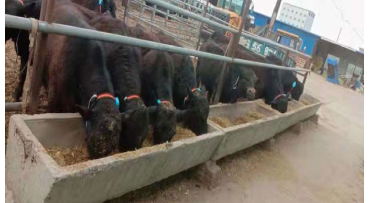 008PG����(�й���)-�ٷ���վ