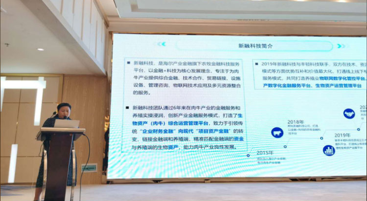 008PG����(�й���)-�ٷ���վ