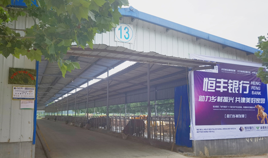 008PG����(�й���)-�ٷ���վ