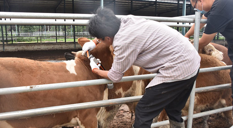 008PG����(�й���)-�ٷ���վ