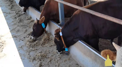 008PG����(�й���)-�ٷ���վ