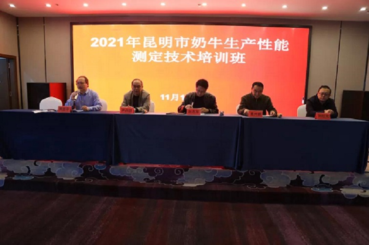 008PG����(�й���)-�ٷ���վ