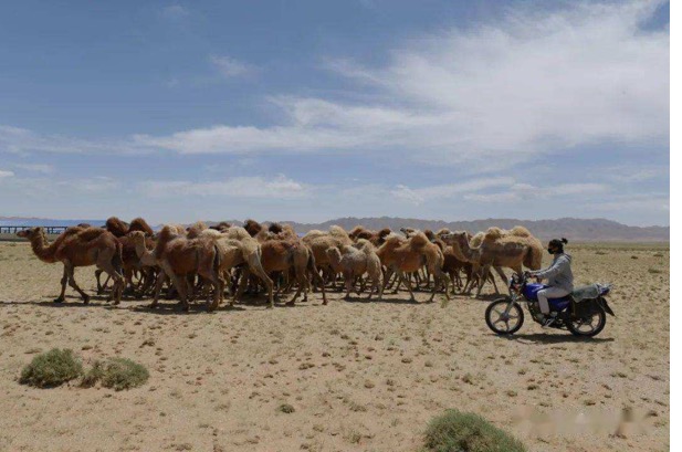 008PG����(�й���)-�ٷ���վ