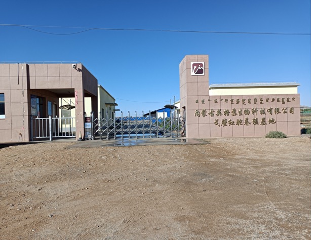 008PG����(�й���)-�ٷ���վ