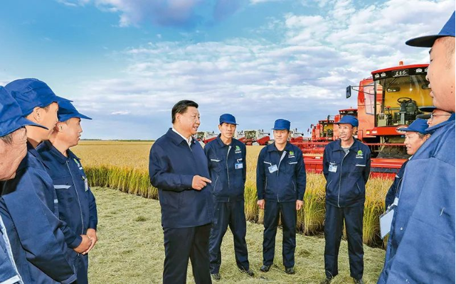 008PG����(�й���)-�ٷ���վ