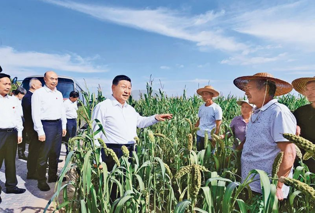 008PG����(�й���)-�ٷ���վ