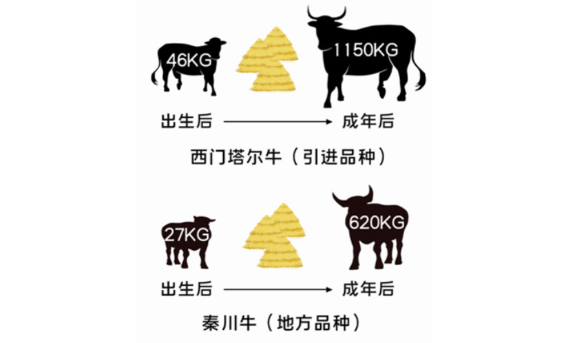 008PG����(�й���)-�ٷ���վ