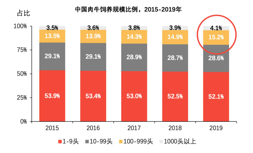 008PG����(�й���)-�ٷ���վ
