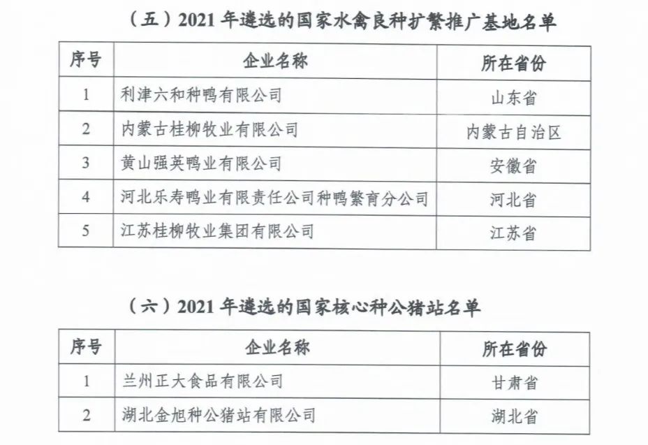 008PG����(�й���)-�ٷ���վ