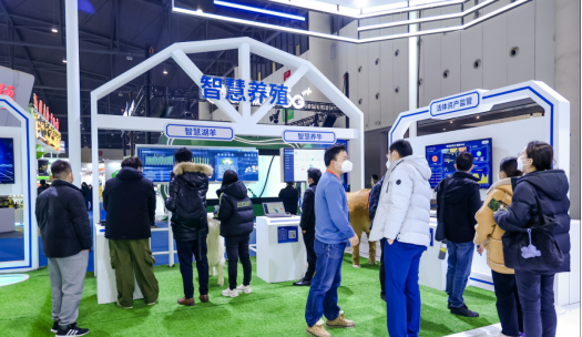 008PG����(�й���)-�ٷ���վ