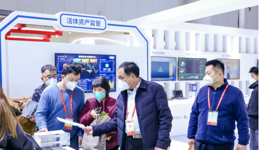 008PG����(�й���)-�ٷ���վ