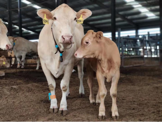 008PG����(�й���)-�ٷ���վ