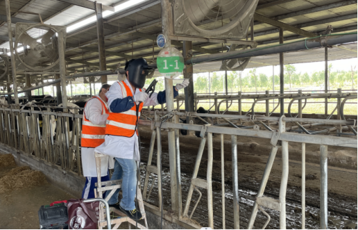 008PG����(�й���)-�ٷ���վ