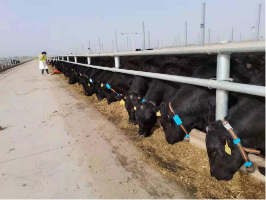 008PG����(�й���)-�ٷ���վ