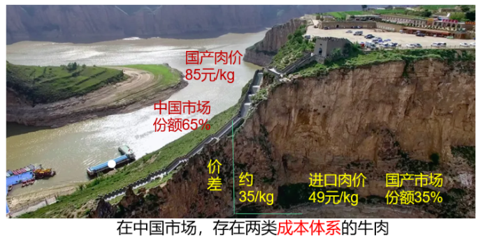 008PG����(�й���)-�ٷ���վ