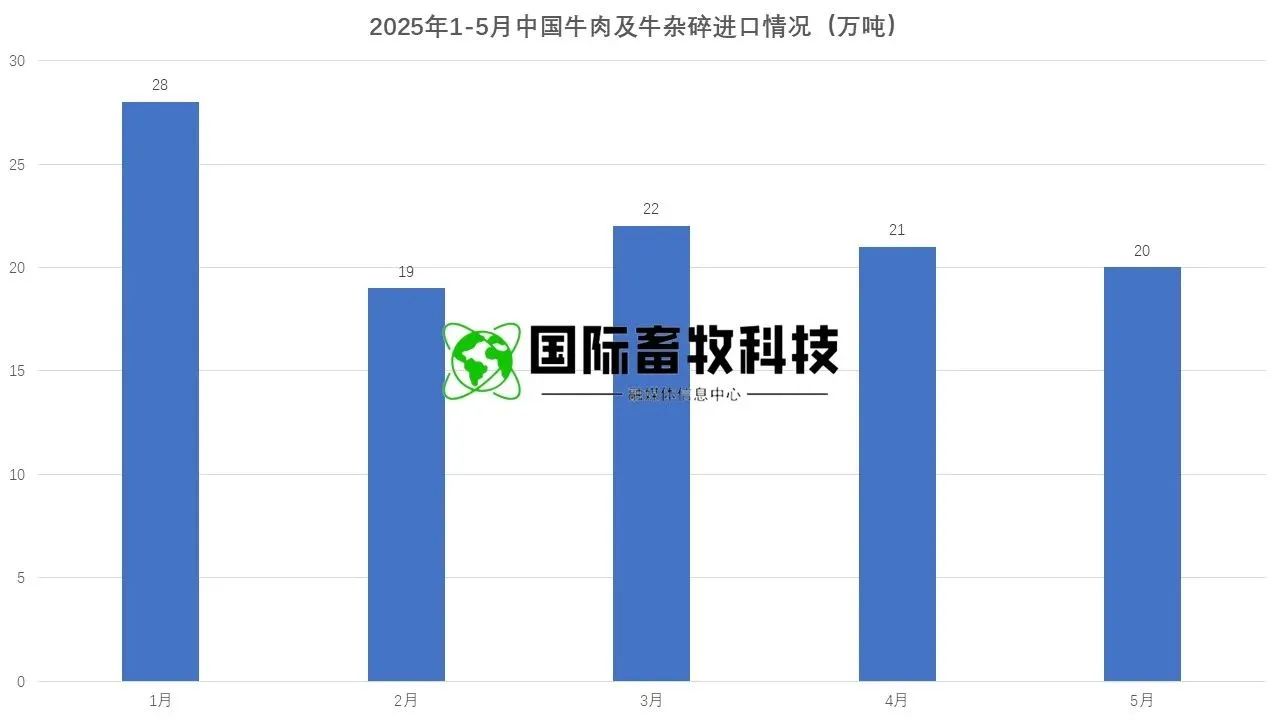 008PG����(�й���)-�ٷ���վ